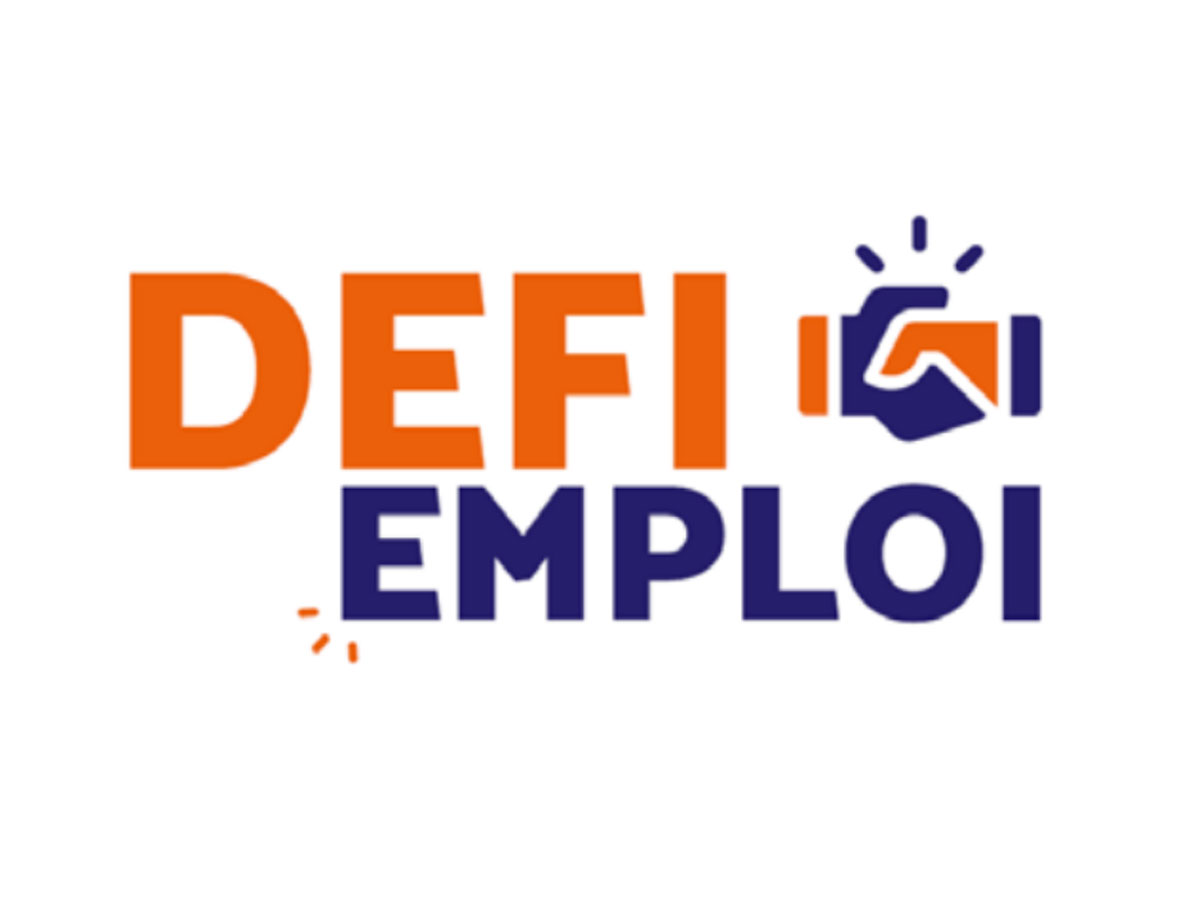 defi-emploi.jpg